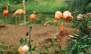 无锡动物园 无锡动物园